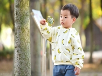 火和土组合的男孩名字