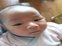 生僻字录入系统查询