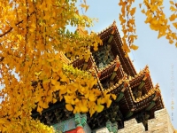 周易专业起名,周易100分起名