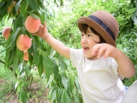 2023年姓阮的男孩如何起名 20个超好听的名字推荐